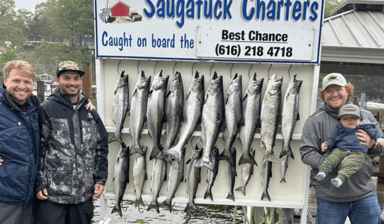 Best Chance Too Charters